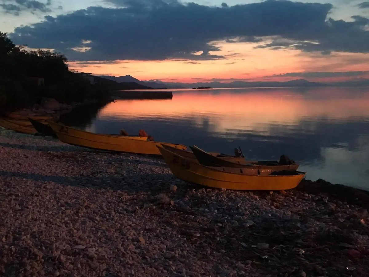Zogaj, Shkoder